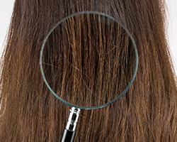 ヒアリング、髪の毛、頭皮環境の確認